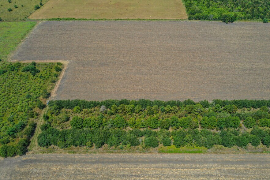 More Photos Of 1210 Darst Road, Beasley Land For Sale