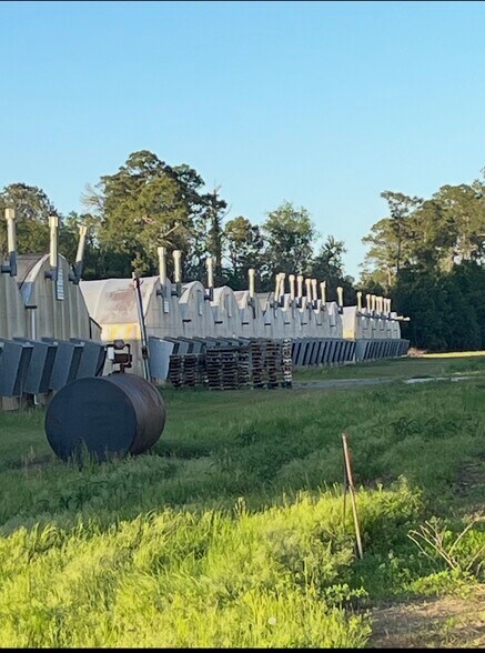 Primary Photo Of 1727 Old Highway 250, Claxton Specialty For Sale