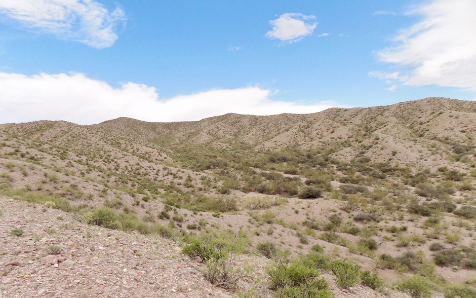 More Photos Of 649 Del Norte Calle, Monticello Land For Sale
