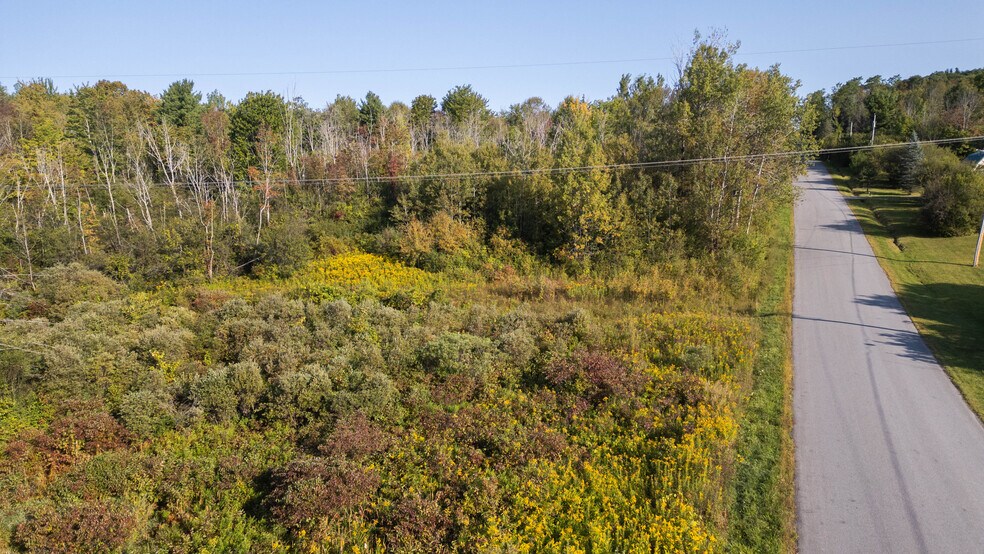 More Photos Of 219 Mudge rd, Delanson Land For Sale