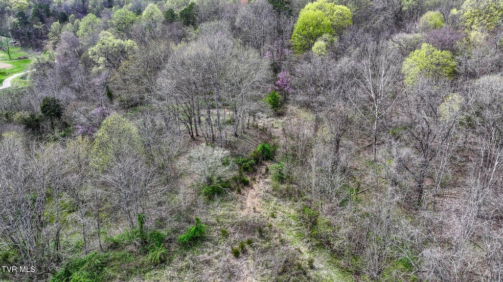 More Photos Of 340 Melinda Ferry rd, Rogersville Land For Sale