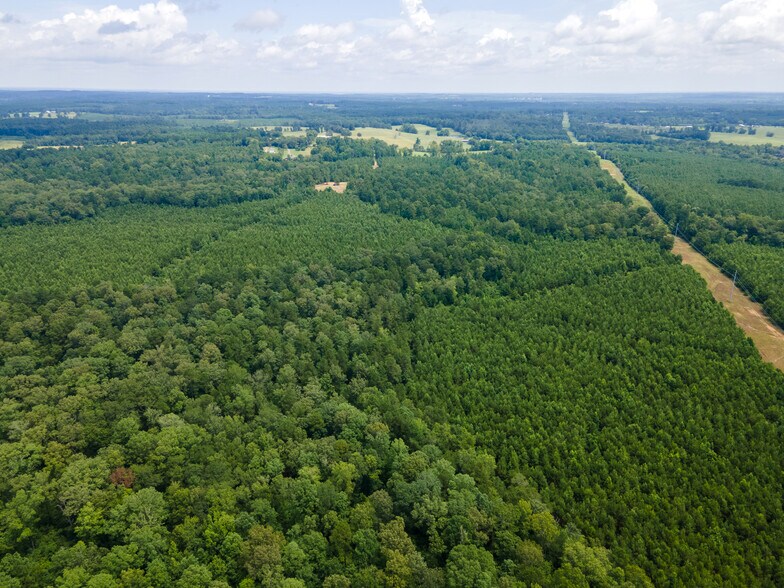 More Photos Of 2539 FM 995, Atlanta Land For Sale