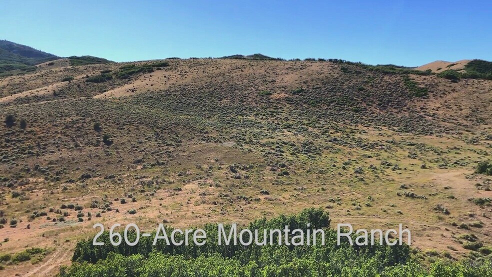 Primary Photo Of W Hoytsville Rd, Hoytsville Land For Sale