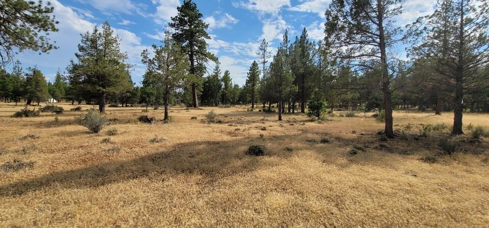 Primary Photo Of Highway 299, Burney Land For Sale