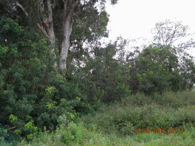 More Photos Of 11200 NW 14th st, Plantation Land For Sale