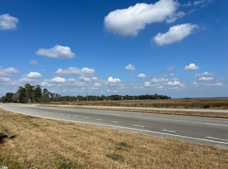 More Photos Of 3855 Darien Hwy, Brunswick Land For Sale