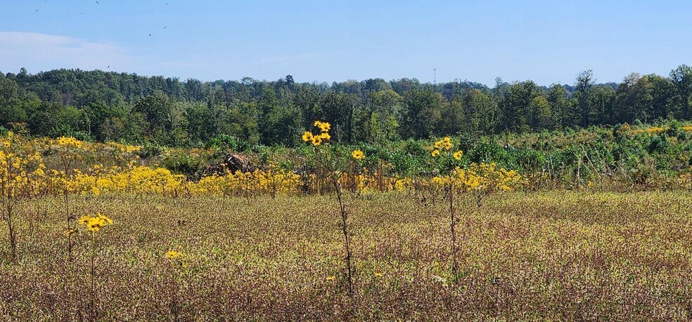 More Photos Of Glenmore Road, Scottsville Land For Sale
