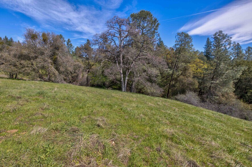 More Photos Of 18800 Charleston Rd, Volcano Land For Sale
