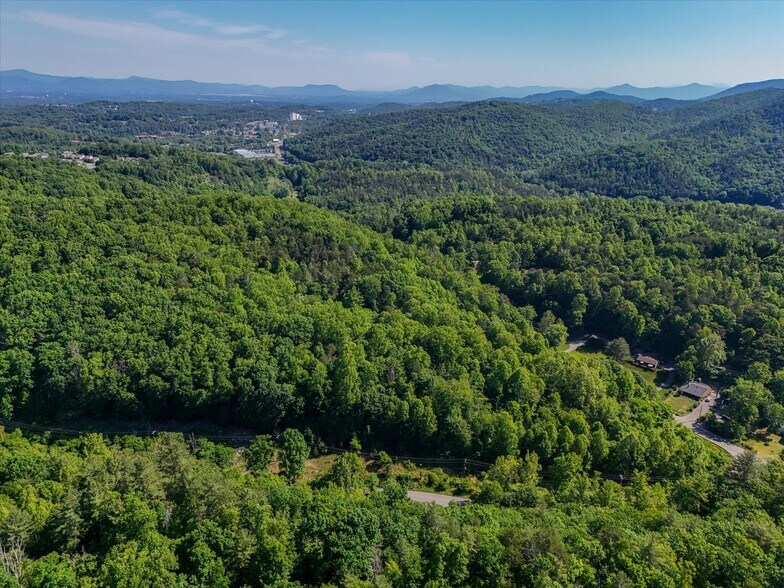 More Photos Of 0 Merriman Rd, Roanoke Land For Sale