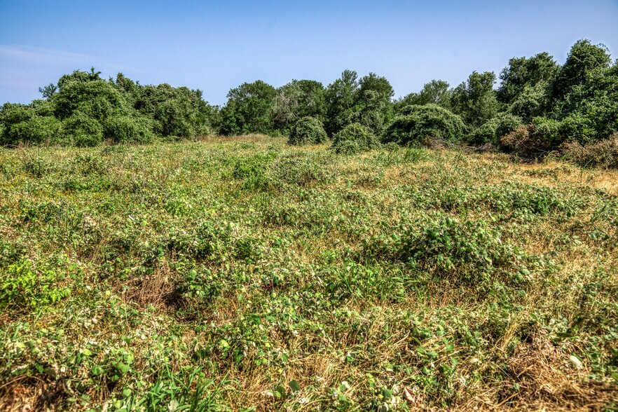 More Photos Of TBD (+/-88 Acres) Smith Rd, Bastrop Land For Sale