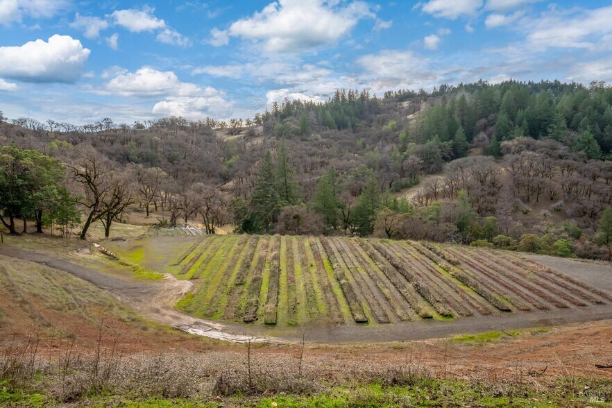 More Photos Of 8450 Orr Springs Rd, Ukiah Land For Sale