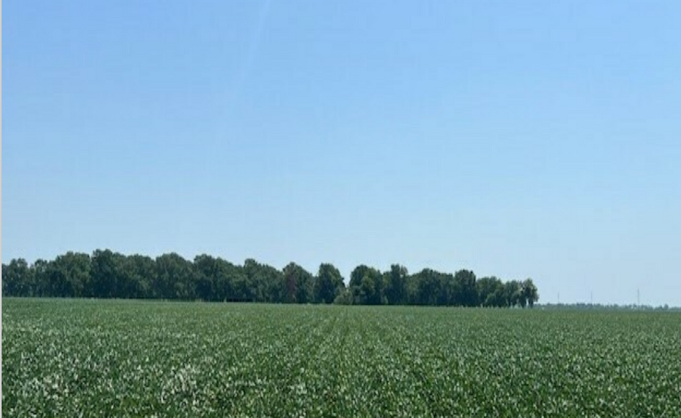 Primary Photo Of Pecan Ave, England Land For Sale