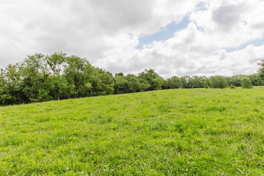 More Photos Of 7438 Bagdad Rd, Bagdad Land For Sale