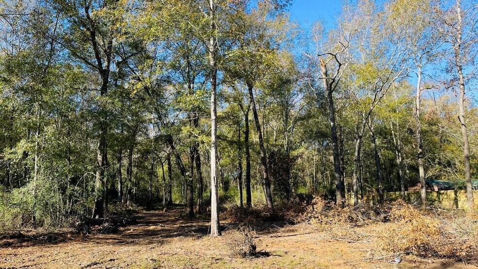 More Photos Of 4106 Hwy 69 S Hwy, Lumberton Land For Sale