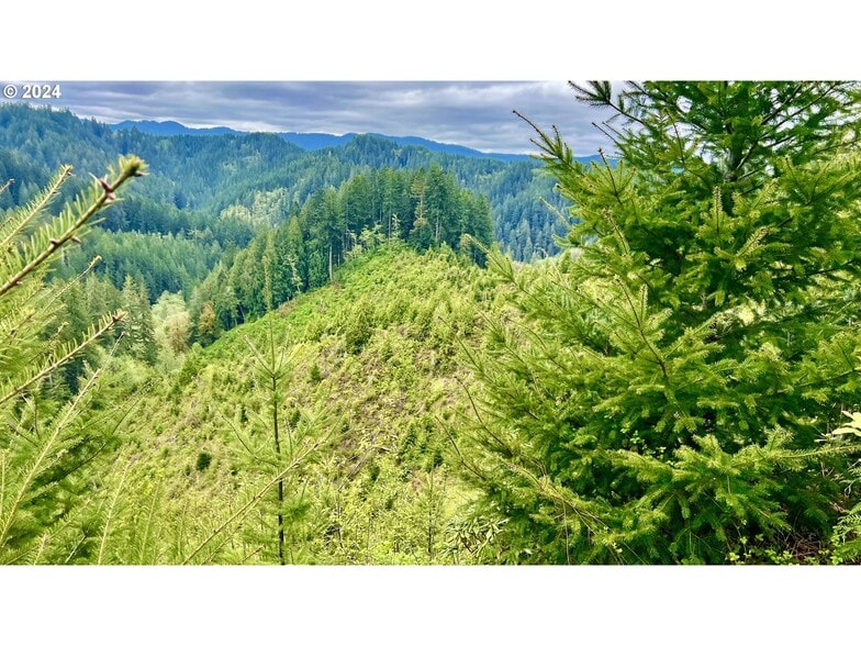 More Photos Of 18-10-00-00-01300500, Mapleton Land For Sale