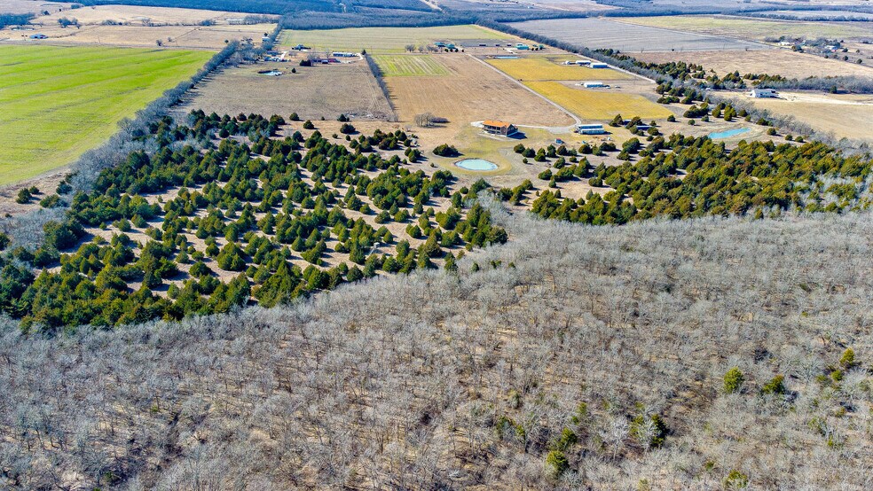 Primary Photo Of 4065 County Road 695, Farmersville Land For Sale