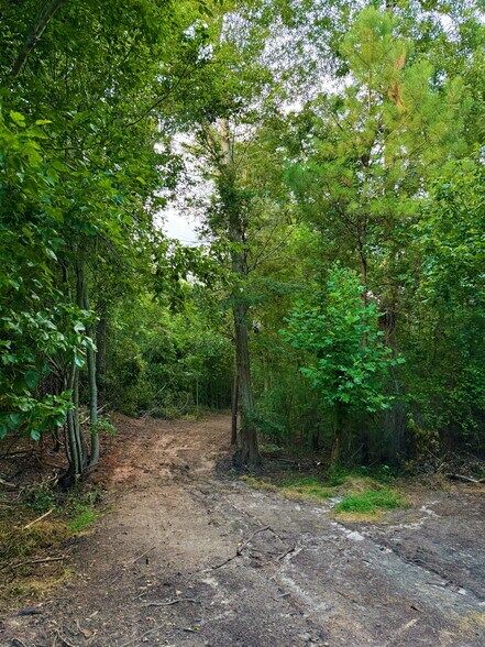 More Photos Of 00 221 Highway South Hwy, Laurens Land For Sale