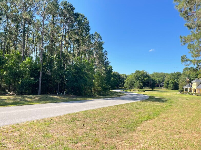 More Photos Of 31004 Secretariat Trl, Leesburg Land For Sale
