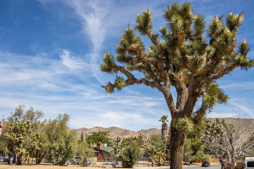 More Photos Of 7211 Joshua Ln, Yucca Valley Office Residential For Lease