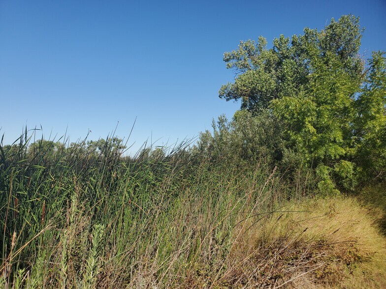 More Photos Of 10588 Rindge Road Rd, Stockton Land For Sale
