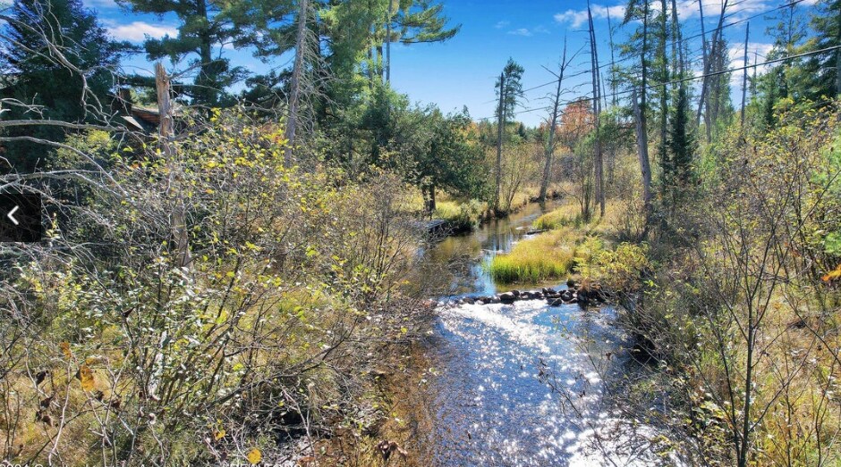 More Photos Of 3900 W Park Rd, Luzerne Land For Sale