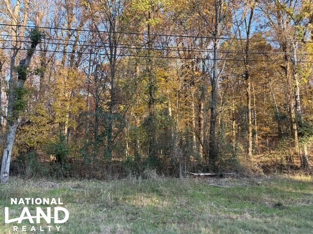 More Photos Of HWY 301, Horn Lake Land For Sale