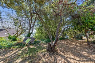 More Photos Of 614 Cragmont Ave, Berkeley Land For Sale