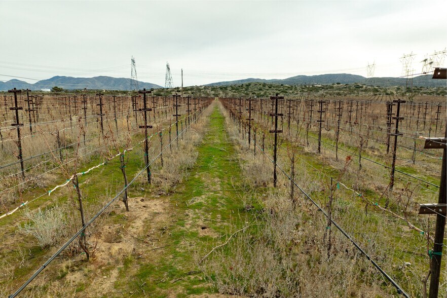More Photos Of Fort Tejon Rd, Littlerock Land For Sale