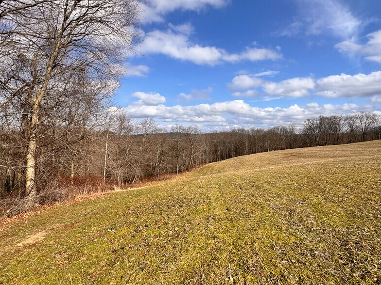 More Photos Of 15 GLECOE Rd, Dellroy Land For Sale