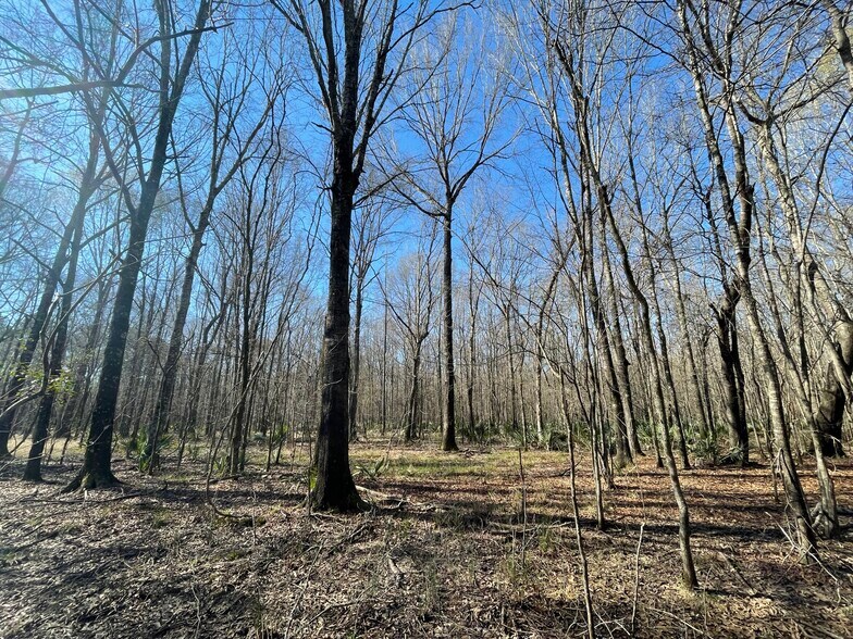 More Photos Of US Highway 231, Montgomery Land For Sale