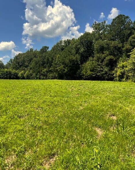 More Photos Of 17796 Dry Branch loop, Northport Land For Sale