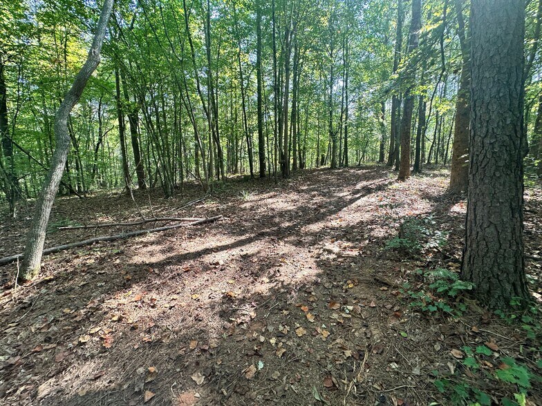 More Photos Of 00 Frix Rd, Cumming Land For Sale