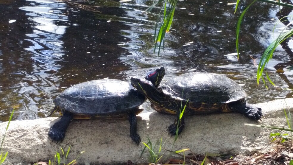 More Photos Of 1524 Brookhollow Dr, Santa Ana Coworking Space