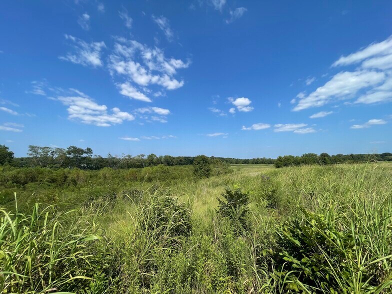 More Photos Of 17192 Co 21 rd, Marion Junction Land For Sale