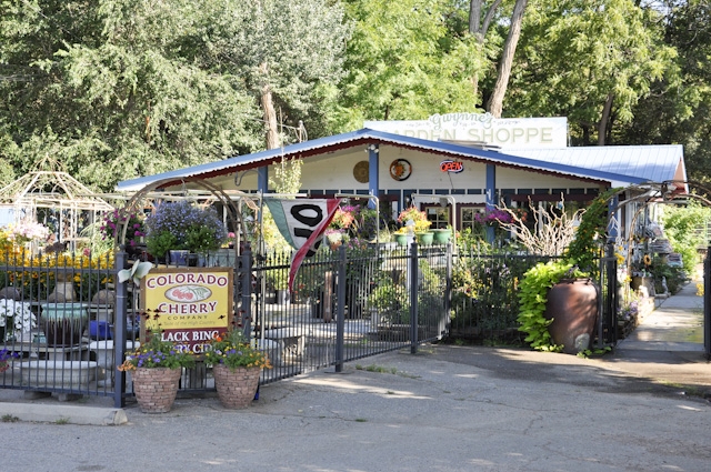 Primary Photo Of 4497 Ute Hwy, Longmont Freestanding For Lease