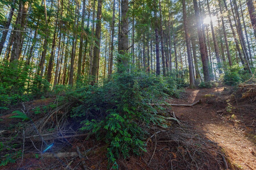 More Photos Of 0 Newmark ave, North Bend Land For Sale