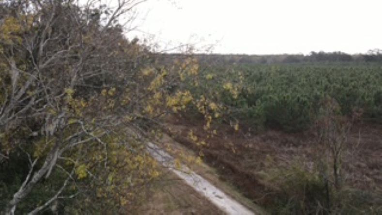 More Photos Of 10602 NW 143rd St, Alachua Land For Sale