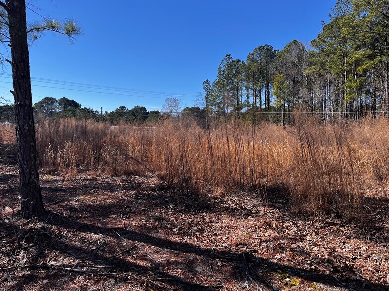 More Photos Of 1284 NC 50, Benson Land For Sale