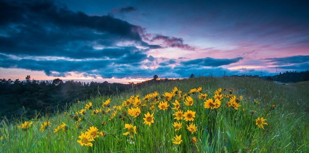 More Photos Of 300 Byers Ln, La Selva Beach Land For Sale