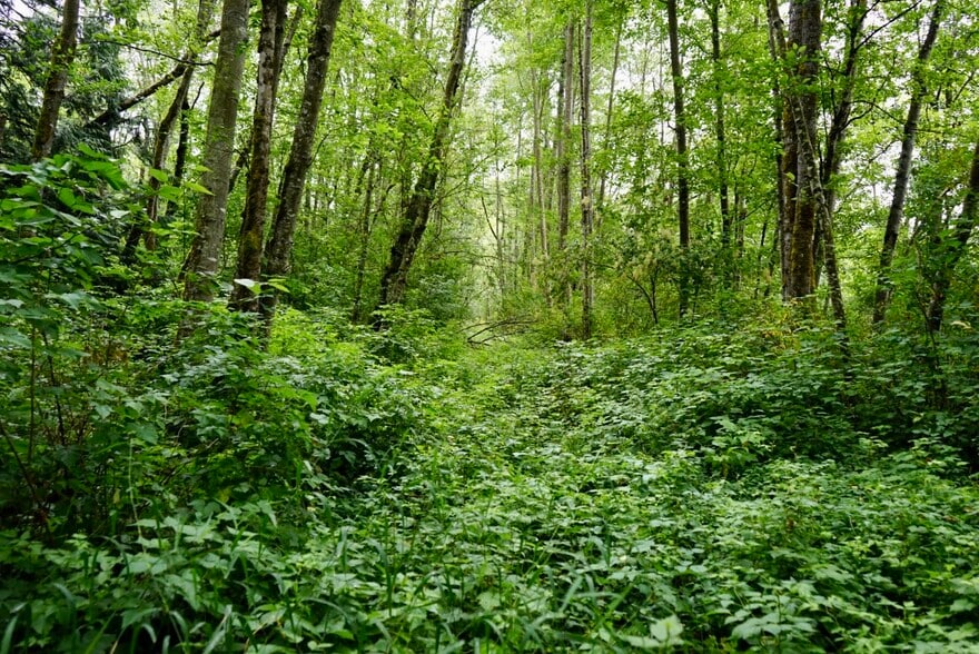 More Photos Of 8610 White Rd, Blaine Land For Sale