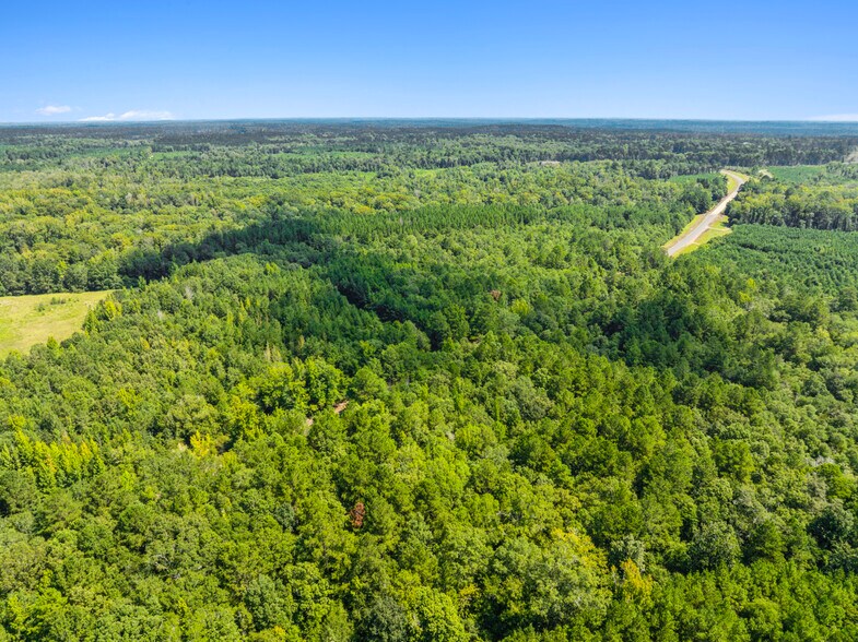 More Photos Of 7471 Highway 155, Saline Land For Sale