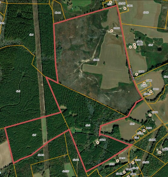 More Photos Of 13916 Halifax Rd, Petersburg Land For Sale