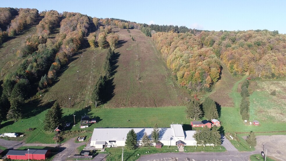 More Photos Of 1135 Toggenburg Rd, Fabius Land For Sale