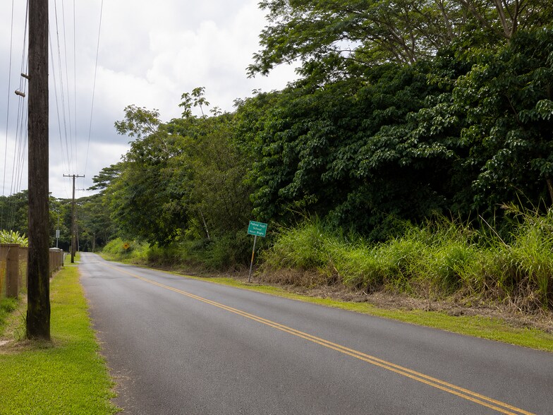 Primary Photo Of 3-1-5-002-002, Pahoa Land For Sale