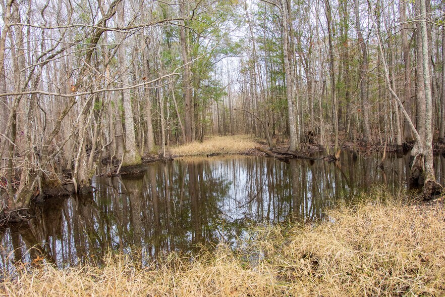 More Photos Of 409 Windward Ave, Orangeburg Land For Sale