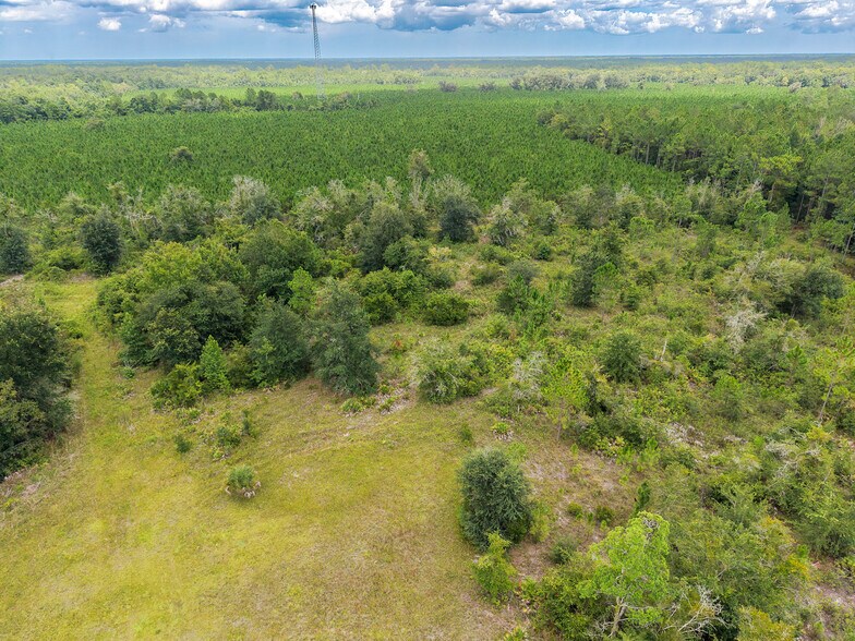 More Photos Of 1360 US-17, Palatka Land For Sale