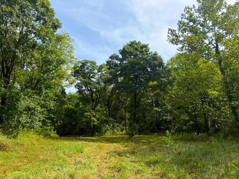 More Photos Of 17660 Golden Rd, Linwood Land For Sale