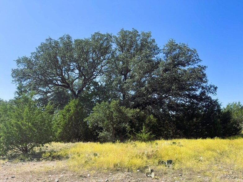 More Photos Of 1276 Farm to Market Road 574, Mullin Land For Sale