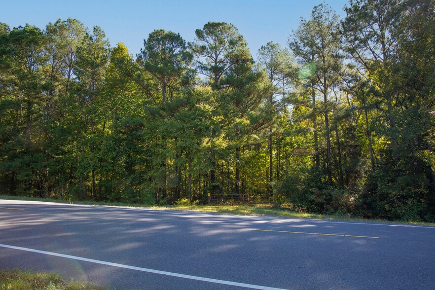 More Photos Of Walter Bright Road & 15-501, Sanford Land For Sale