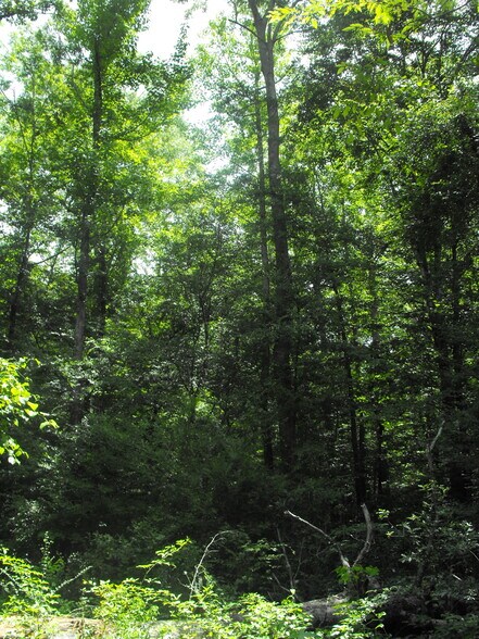 More Photos Of NOBLIN BRIDGE RD, Pelahatchie Land For Sale